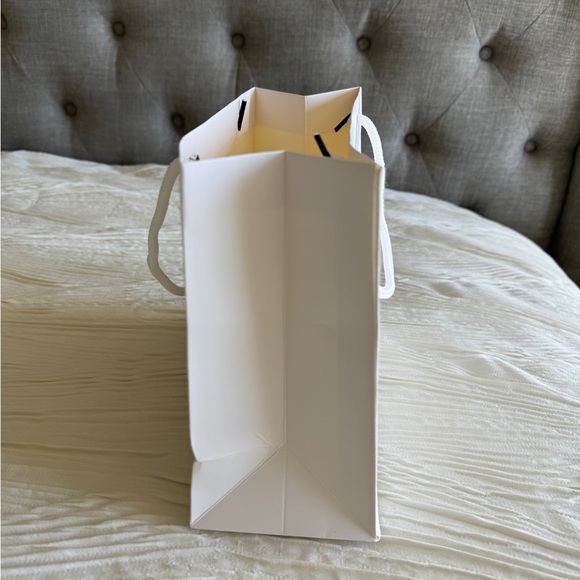 Dior Shopping Gift Bag that you can use for decoration or social media content - Picture 4 of 6